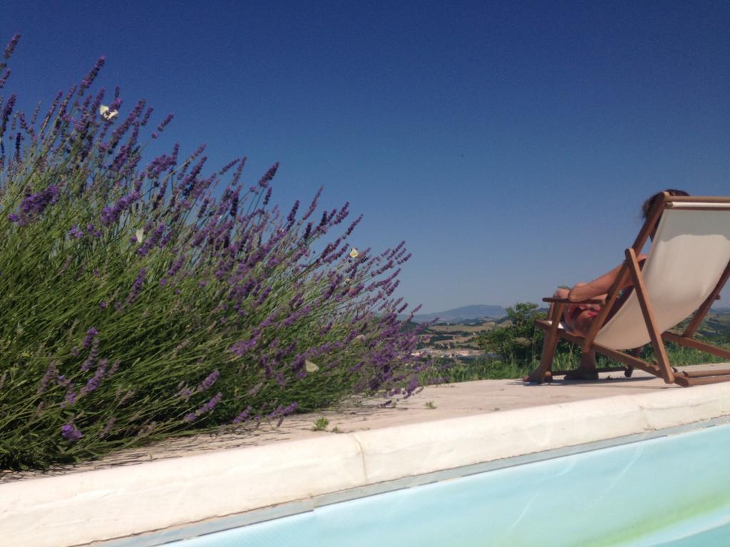 Agriturismo Il Fienile Di Ca Battista 카글리 외부 사진