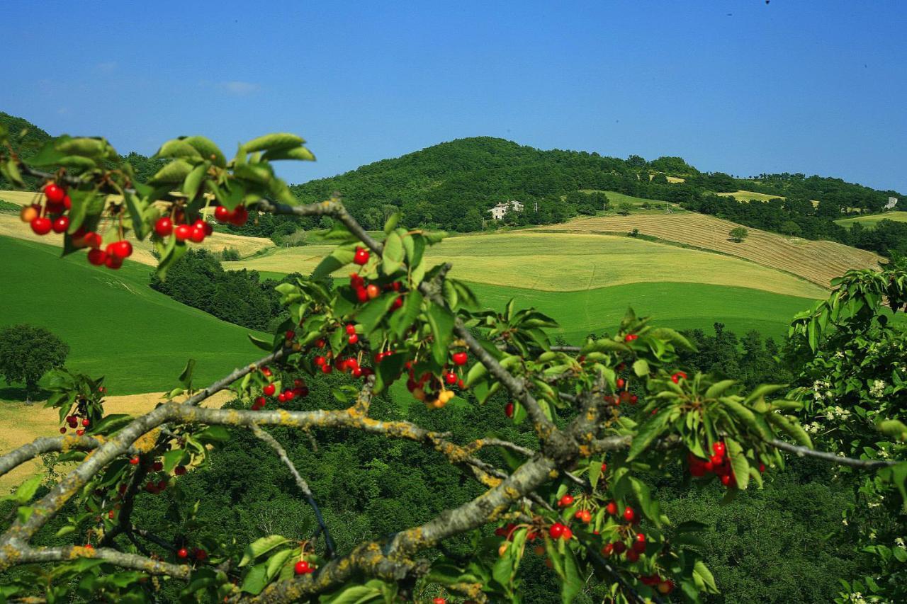 Agriturismo Il Fienile Di Ca Battista 카글리 외부 사진