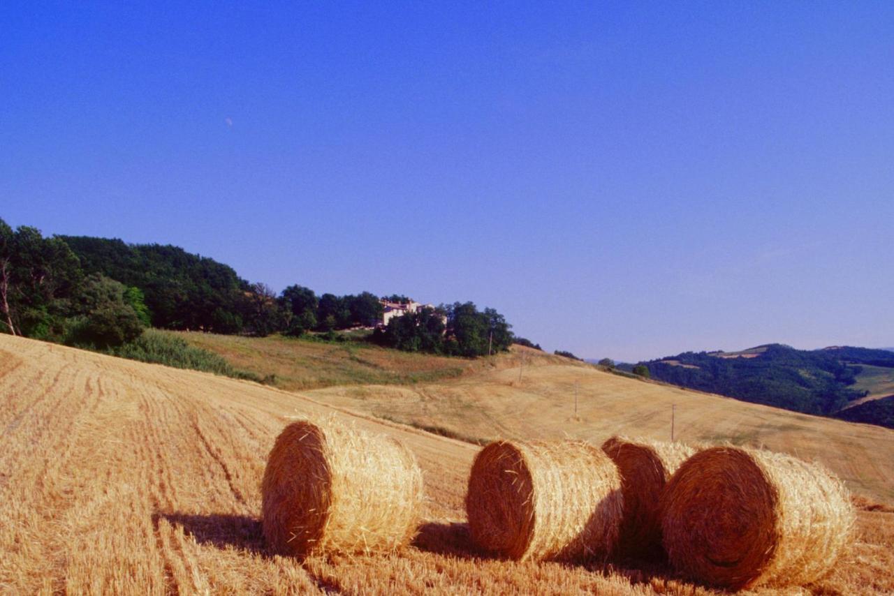 Agriturismo Il Fienile Di Ca Battista 카글리 외부 사진